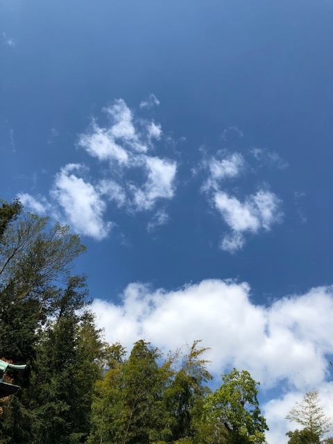 空に天上をつなげる鳥の鳳凰がいた