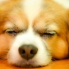 Thumbnail of new posts 002