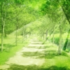Thumbnail of new posts 049