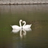 Thumbnail of new posts 162