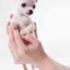 Thumbnail of new posts 002