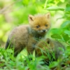 Thumbnail of new posts 064