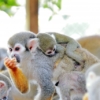 Thumbnail of new posts 089