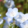 Thumbnail of new posts 133