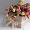 Thumbnail of new posts 072