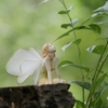 Thumbnail of new posts 077