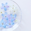 Thumbnail of new posts 059