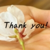 Thumbnail of new posts 164