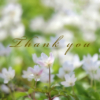 Thumbnail of new posts 106