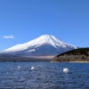 Thumbnail of new posts 091