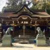 Thumbnail of new posts 059