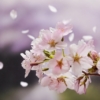 Thumbnail of new posts 124