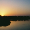 Thumbnail of new posts 044