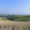 Thumbnail of new posts 154