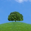 Thumbnail of new posts 098