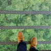 Thumbnail of new posts 155