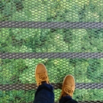Thumbnail of post image 067
