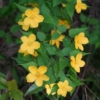 Thumbnail of new posts 088