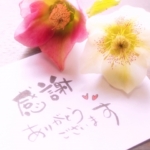 Thumbnail of post image 029