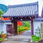 Thumbnail of post image 032