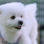 Thumbnail of post image 022