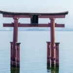 Thumbnail of post image 108