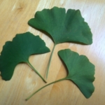 Thumbnail of post image 066