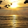 Thumbnail of new posts 040