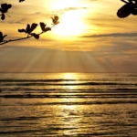 Thumbnail of post image 177