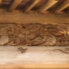 Thumbnail of new posts 035