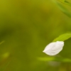Thumbnail of new posts 088